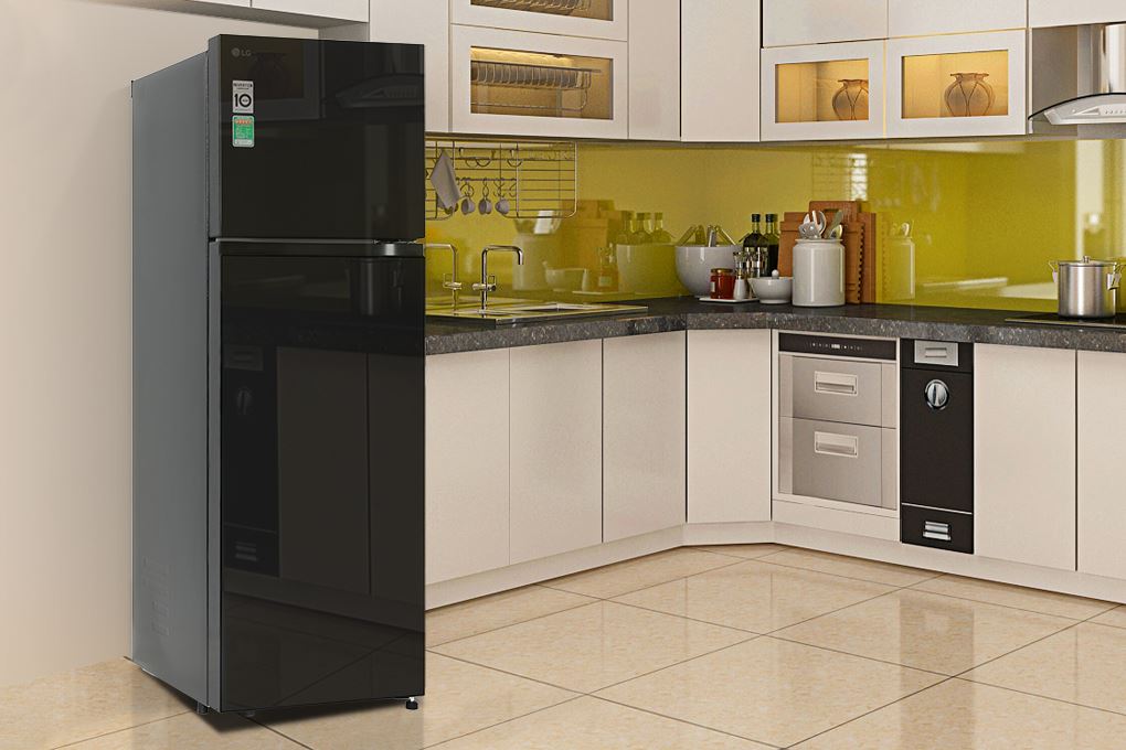 Tủ lạnh LG Inverter 266 lít T26BG - ảnh mô tả