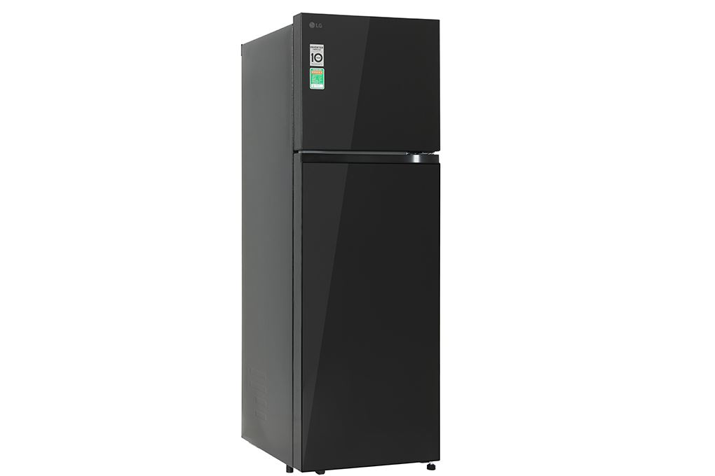 Tủ lạnh LG Inverter 266 lít T26BG - ảnh mô tả